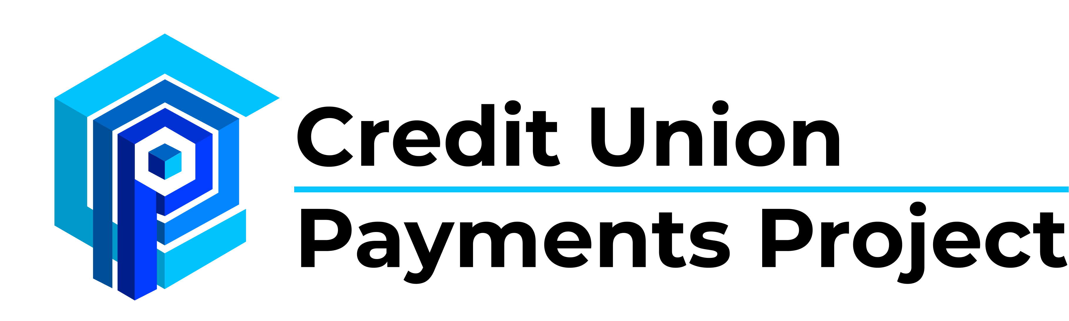 Credit Union Payments Project Logo